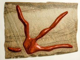 Bildcollage Million Years