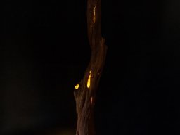 Kunstvolles Beleuchtungsobjekt als Baumstamm