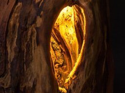 Kunstvolles Beleuchtungsobjekt als Baumstamm