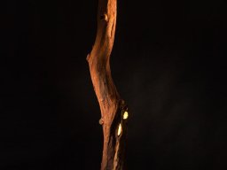 Kunstvolles Beleuchtungsobjekt als Baumstamm