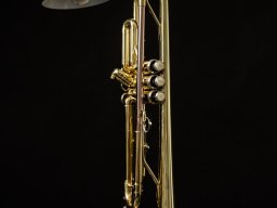 Trompetenleuchte aus Messing