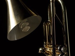 Trompetenleuchte aus Messing