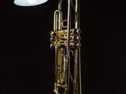 Trompetenleuchte aus Messing