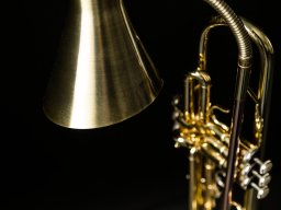Trompetenleuchte aus Messing